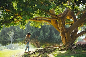одиноко стоящее дерево, зеленая крона на фоне неба, девушка подходит к стволу дерева 
