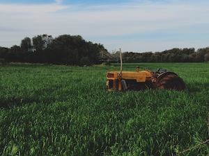 Сельскохозяйственный трактор на зеленом поле 