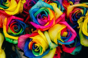 Разноцветные розы в букете 