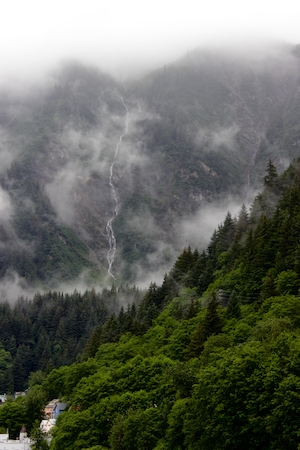 хвойный лес в предгорье, водопад, пейзаж при низких белых облаках 