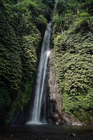 Водопад среди плюща, водопад в окружении зеленых растений