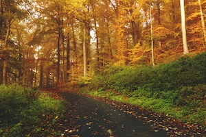 Природа, Пейзаж, Времена года, Осень