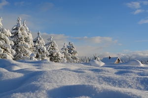 Зимняя страна чудес в Айленд-парке, штат Айдахо