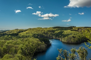 Зеленые берега реки, фото леса у реки с высоты 