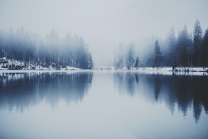 озеро зимой, отражение леса в воде