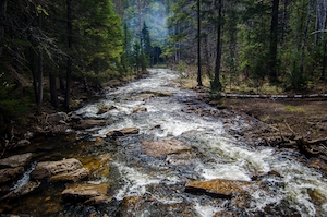 Вода лесного ручья, Река посреди леса, фото сверху