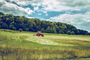 Красный трактор в зеленом поле