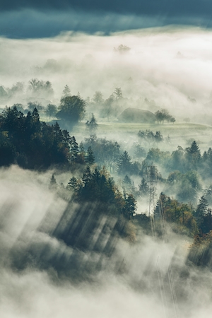Опоры ЛЭП в тумане, туманный лес 