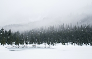 Зимний пейзаж в снежный день у пруда
