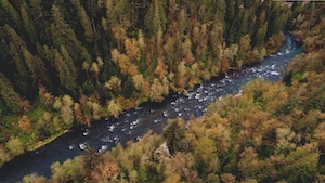 Река посреди леса, фото сверху