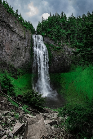 водопад в окружении зеленых растений, еловый лес на скале 