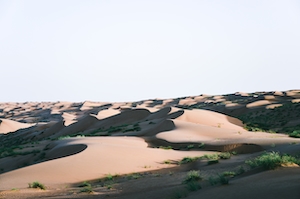 песчаная дюна, пески в пустыне, пейзаж в пустыне, оазис в пустыне 