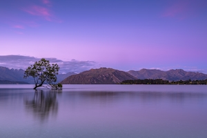 горы во время заката, озеро и одинокое дерево 