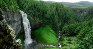 Водопад в овраге, водопад в окружении зеленых растений