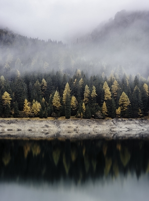 Осенний лес за озером