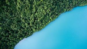 Голубое озеро и зеленый берег
