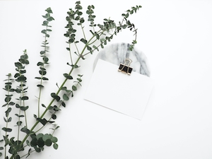Эвкалиптовое растение и бумажка 
