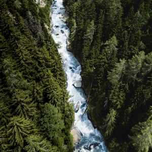 Река посреди леса, фото сверху
