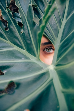 Глаз и большой зеленый листок