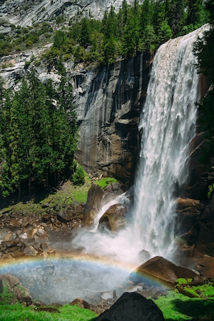 водопад в окружении зеленых растений, радуга 