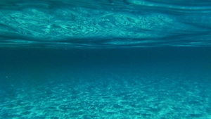 текстура воды, подводный мир, морское дно 