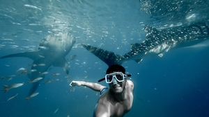 Погружение, парень в маске плавает под водой рядом с акулами 