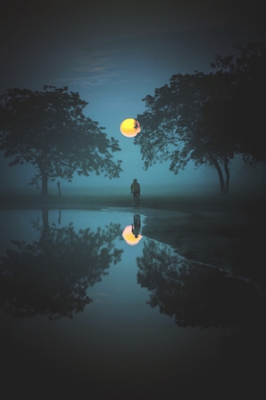 человек в парке с озером ночью в полнолуние 