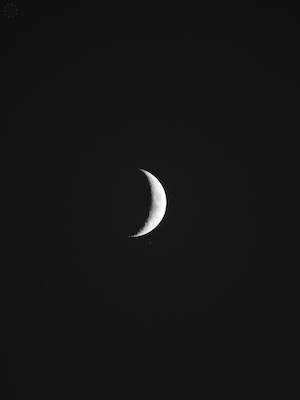 крупная луна на черном фоне 