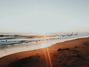 закат на море, пляж во время заката, песчаный пляж и птицы 