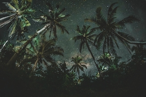 Млечный Путь, пальмы, звездное небо 