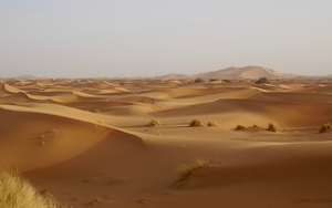Так много дюн, песчаная дюна, пески в пустыне, пейзаж в пустыне