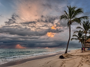 песчаный пляж, море, небо, пальмы у побережья 