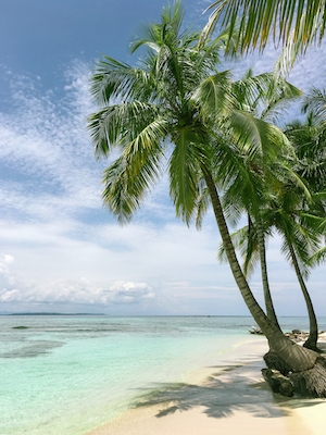 пальмы на пляже у моря, морской горизонт