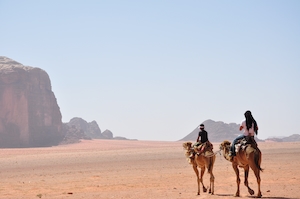 Верблюды в Вади-Раме, верблюд в пустыне, песчаные дюны, барханы