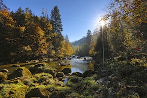 Еще одна осень, зеленый лес изнутри, лесная река, большие камни 