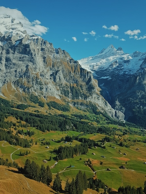 Швейцарские Альпы, поля и горы 