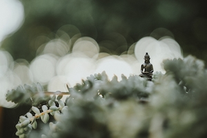 Будда в саду