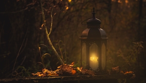фонарь с горящей свечой внутри, осенний лес 