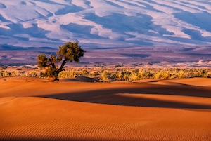 Марокко, Сахара, песчаная дюна, пески в пустыне, пейзаж в пустыне