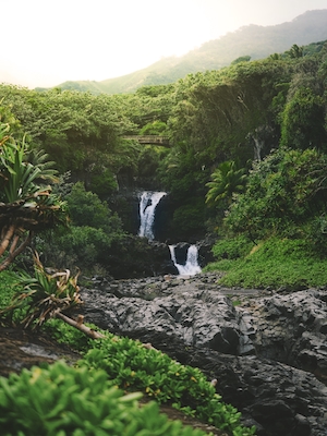 водопад в тропическом лесу 