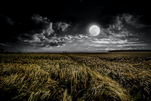 Луна и поле