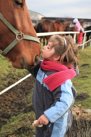 маленький ребенок целует коричневую лошадь 
