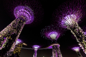 Сингапурские сады у залива, ночной город, панорама ночного города 