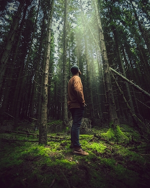 человек стоит в одиночестве в лесу, стволы деревьев с зеленой кроной, фото снизу 