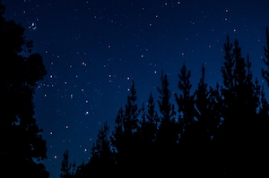 звездное небо ночью, силуэты хвойных деревьев ночью 
