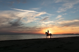 лошадь с наездником идет по пляжу во время заката 