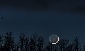 Заход луны, полная луна на небе в окружении верхушек деревьев ночью 