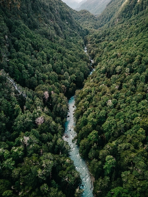 фото леса в ущелье с рекой с высоты