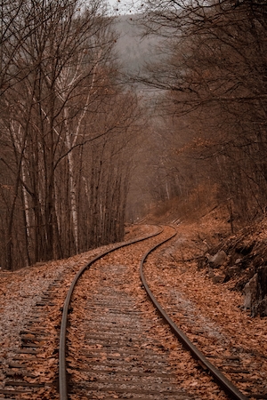 Железная дорога осенью