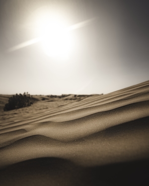 песчаные дюны, барханы, солнце 